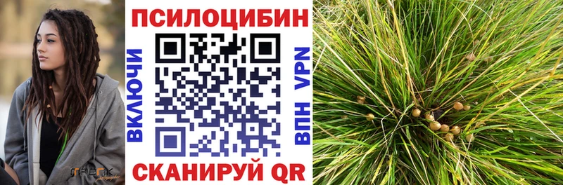 Галлюциногенные грибы GOLDEN TEACHER  Купить где  Энем 